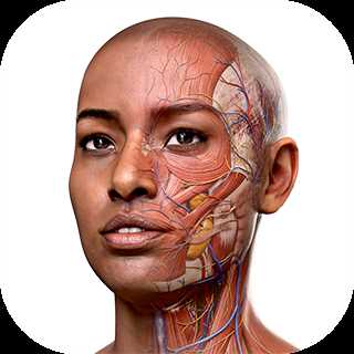 Complete Anatomy v6.3.0.0